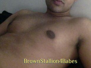 BrownStallion4Babes