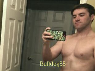 Bulldog35
