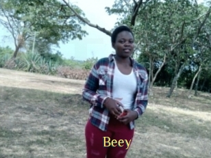 Beey