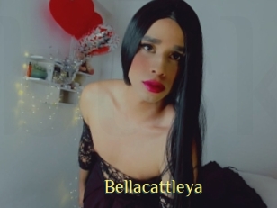 Bellacattleya