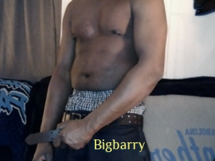 Bigbarry