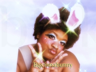 Bigcinnabunny