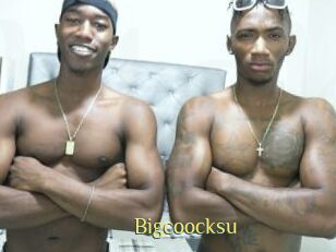 Bigcoocksu