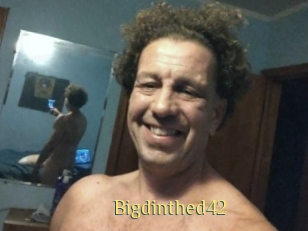 Bigdinthed42