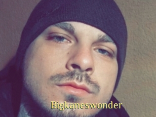 Bigkaneswonder