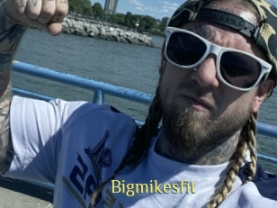 bigmikesfit Brutal Spankings