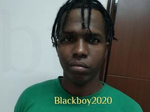 Blackboy2020