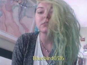 Bluebird0316