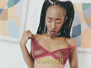 Bluebird21