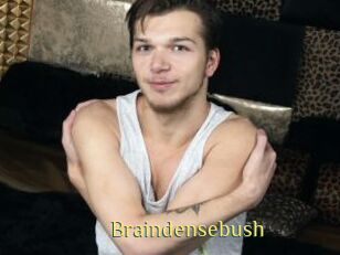 Braindensebush
