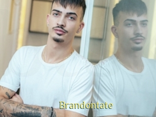 brandontate Brutal Spankings