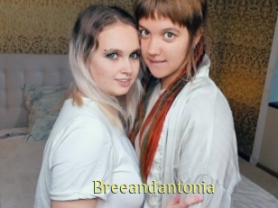 Breeandantonia