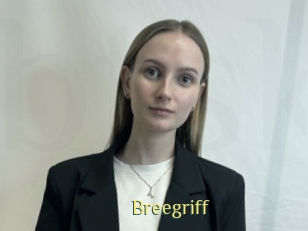 Breegriff