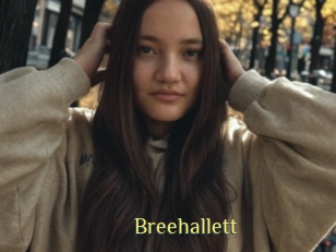 Breehallett