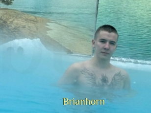 Brianhorn