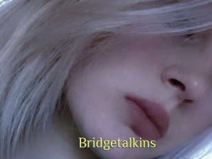 Bridgetalkins