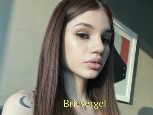 Brievergel