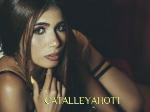 CATALLEYAHOTT