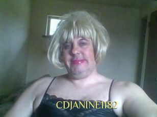CDJANINE1182