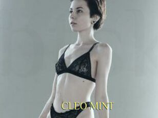 CLEO_MINT