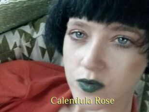 Calendula_Rose