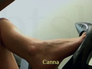 Canna