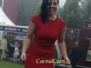 CarnalCam