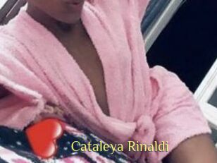 Cataleya_Rinaldi