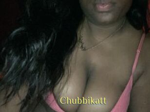 Chubbikatt