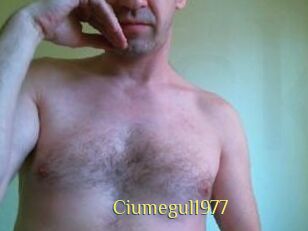 Ciumegul1977