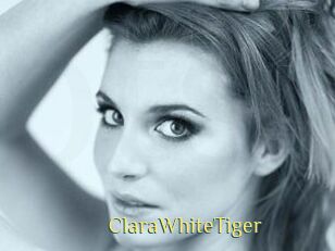 ClaraWhiteTiger
