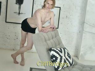 CliffBridges