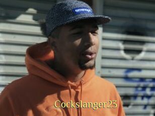 Cockslanger23