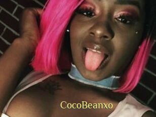 CocoBeanxo