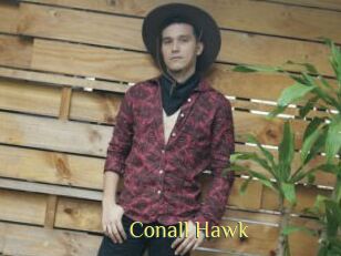 Conall_Hawk