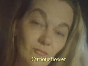 Curiousflower