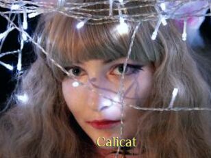 Calicat
