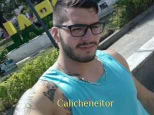 Calicheneitor