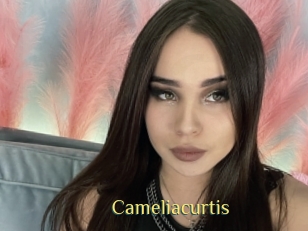 Cameliacurtis