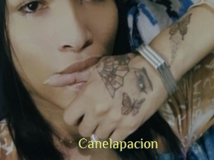 Canelapacion