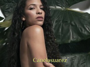 Canelasuarez