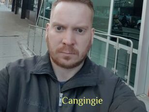 Cangingie