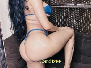 Cardizee