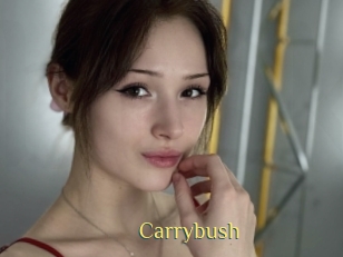 Carrybush