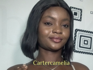 Cartercamelia