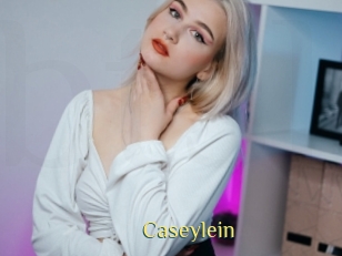 caseylein Brutal Spankings