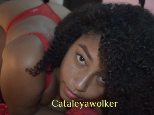 Cataleyawolker