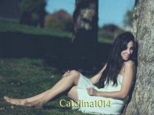 Catalina1014