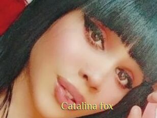 Catalina_fox