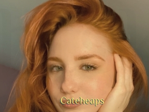Cateheaps